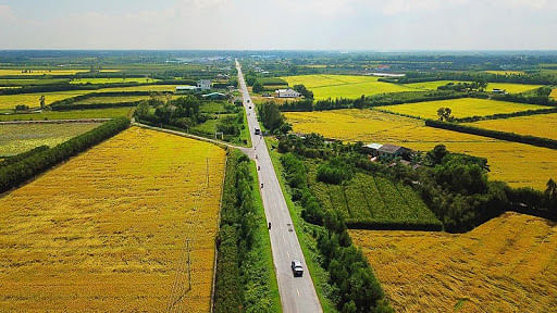 Hình ảnh đường miền Tây xuyên qua những ruộng lúa khoe sắc theo mùa